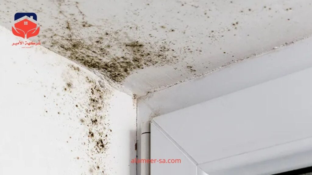 افضل شركة كشف تسربات المياه بالمزاحمية