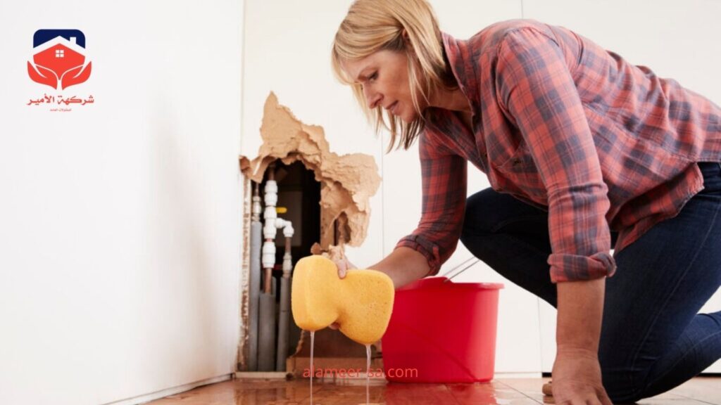 شركة كش تسربات المياه